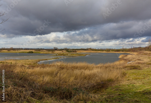 North Cave Wetlands in East Yorkshire, an important nature reserve for many species of birds and mammal. A cold day in winter with stormy sky lakes, and golden reedbeds. Horizontal. Copy space.