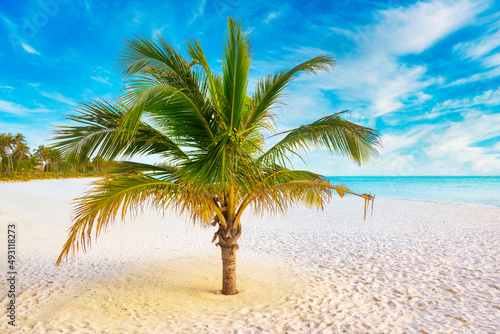 Fototapeta Naklejka Na Ścianę i Meble -  Idyllic Beach with Palm Treesat the Maldives, Indian Ocean