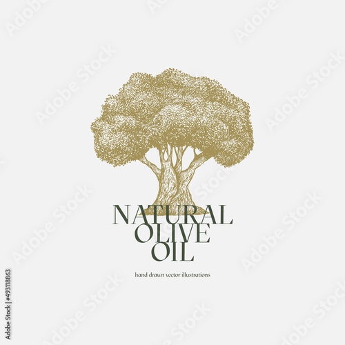 Olive tree in engraving style. Hand-drawn old tree. Template for design postcard, logo, label. Vintage illustration on a light isolated background.