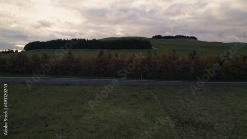 Trees in Grass Meadows Under Clouds at Sunset