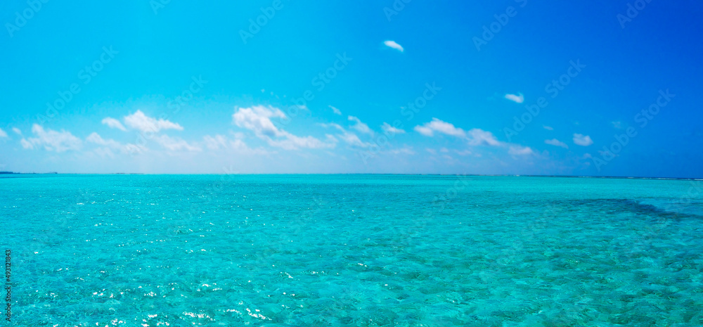 Idyllic Beach with Palm Trees at the Maldives, Indian Ocean.