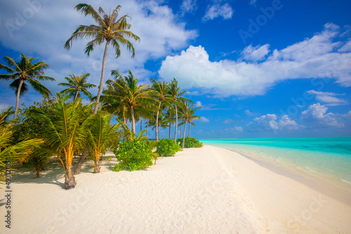 Idyllic Beach with Palm Treesat the Maldives  Indian Ocean