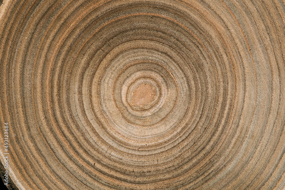 Old grunge aged wood background. The surface of weathered brown wood texture. Old grunge aged wood background. The surface of weathered brown wood texture.