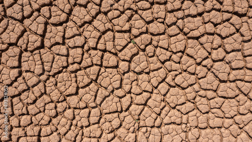Dry and hot summers, cracked soil, ground on field with some small, green plants. texture of earth during drought. View from the top.