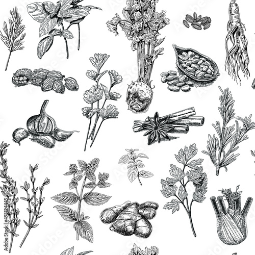 Herbs and spices - seamless pattern. Sketchy vector hand-drawn background. photo