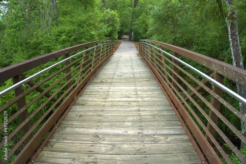 Wooden pathway through the wilderness