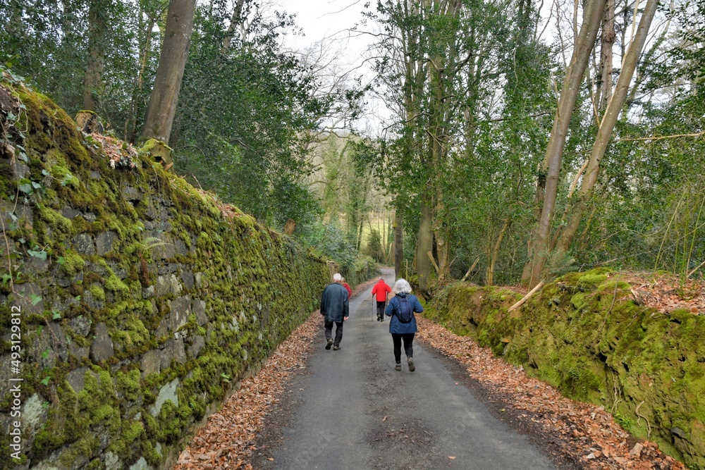 Obraz premium Group of senior hikers in Brittany-France