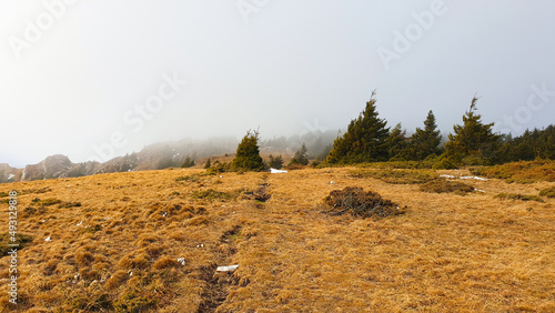 autumn in the mountains, Hasmas Mountains, Romania  photo