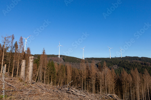 Windkraftanlagen im Wald photo