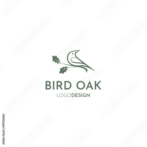 OAK LEAF AND BIRD LOGO DESIGN VECTOR