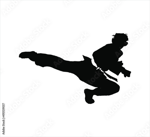 karate taekwondo kungfu silhouette kick and technic vector illustration logo 