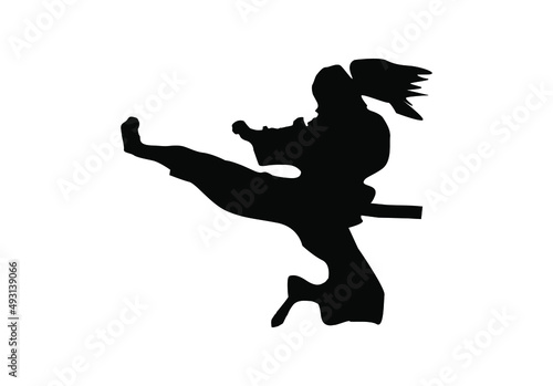 karate taekwondo kungfu silhouette kick and technic vector illustration logo 