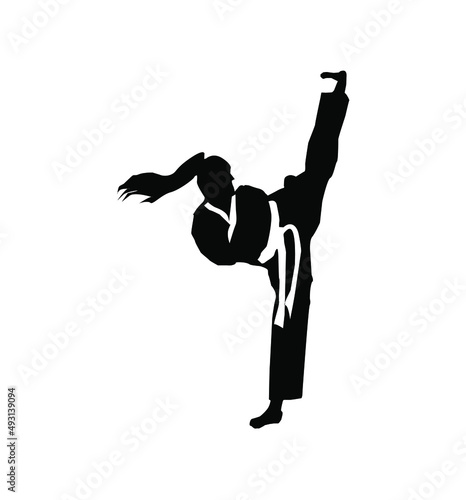 karate taekwondo kungfu silhouette kick and technic vector illustration logo 