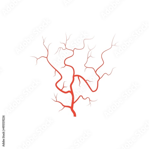 Human red eye veins, anatomy blood vessel arteries illustration. Vector medical eyeball vein arteries system map. Veins in flat style isolated on white background