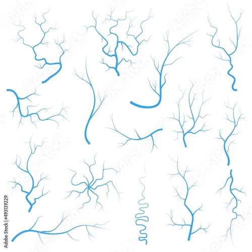 Human blue eye veins, anatomy blood vessel arteries illustration. Vector medical eyeball arteries system map. Veins in flat style isolated on white background