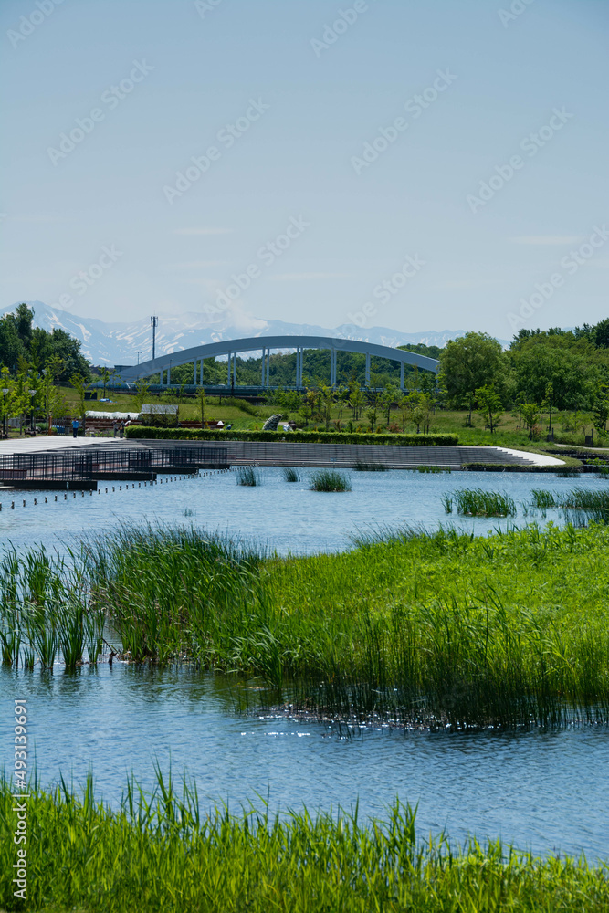 水のある公園とアーチ橋
