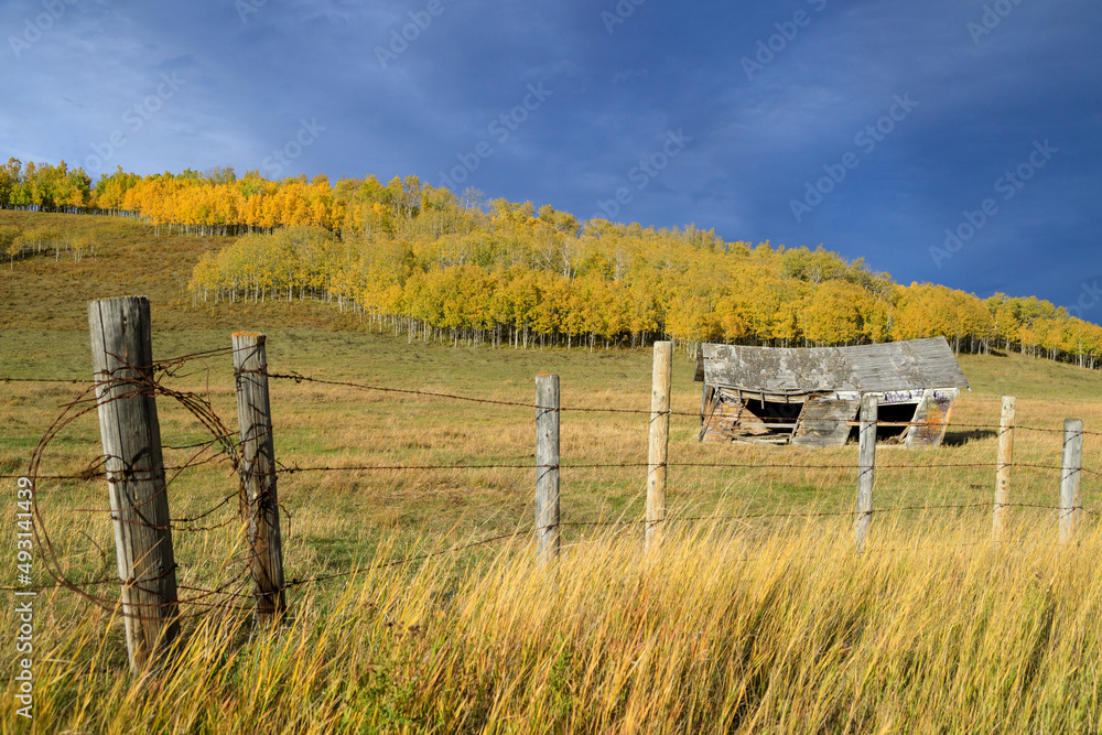 Canadian Prairie Landscape Cowboy Trail Alberta Autumn