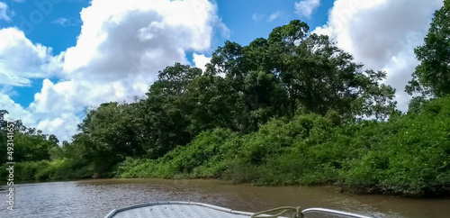 Walk along the Parnaíba River. Located in the Brazilian state of Piauí. Region with exuberant nature.
