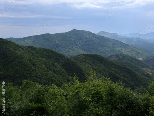 mountain view with trees © Yuriy T