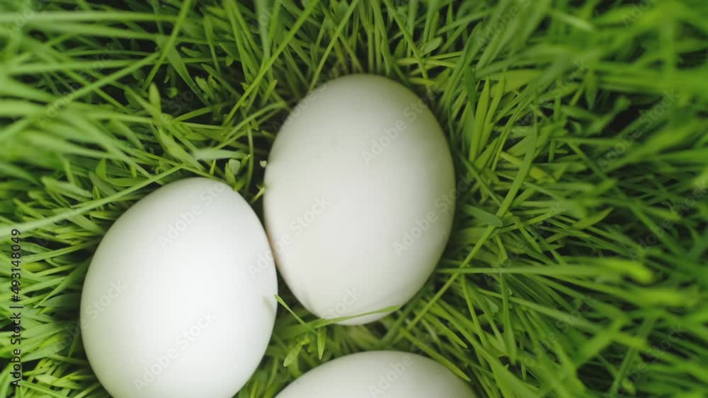 Chicken egg, rotation shot, Chicken fresh raw eggs.Healthy fresh food ingredients for breakfast. Animal products. Grocery. Chicken farm fresh eggs Chicken egg, rotation shot, Chicken fresh raw eggs.Healthy fresh food ingredients for breakfast. Animal products. Grocery. Chicken farm fresh eggs