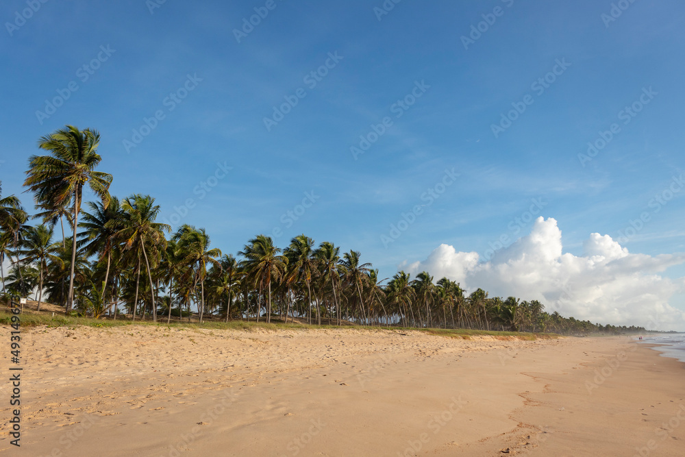 Praia em Imbassai Bahia Brasil Praia em Imbassai Bahia Brasil