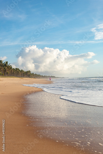 Praia em Imbassai Bahia Brasil
