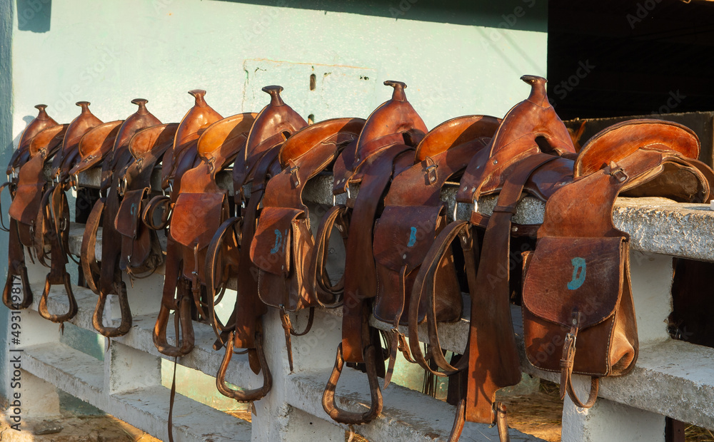 custom saddlebags  Saddle bags horse Horses Saddlebags