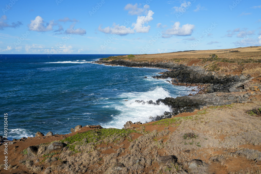 Old Coast Guard Beach in the north of Big Island, Hawaii - Rocky shore in the Kohala Historical Sites State Monument