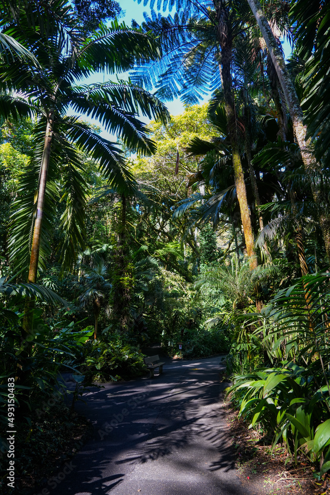 Hawai‘i Tropical Bioreserve & Garden in Onomea Bay, Big Island of Hawaii, United States Hawai‘i Tropical Bioreserve & Garden in Onomea Bay, Big Island of Hawaii, United States
