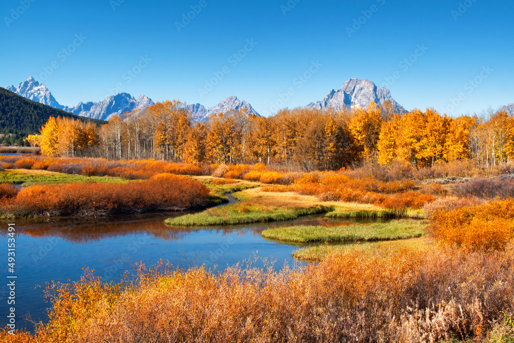 Autumn Teton View