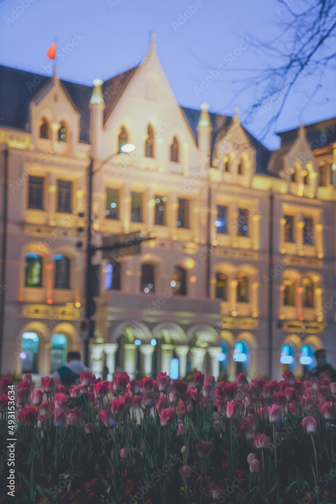 Obraz premium Tulips on the Bund of Shanghai are fantastic at night