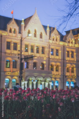 Tulips on the Bund of Shanghai are fantastic at night