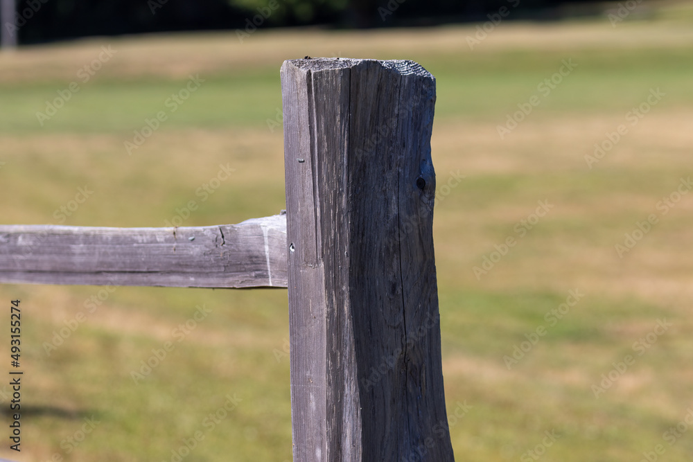 country wooden fence post along green field