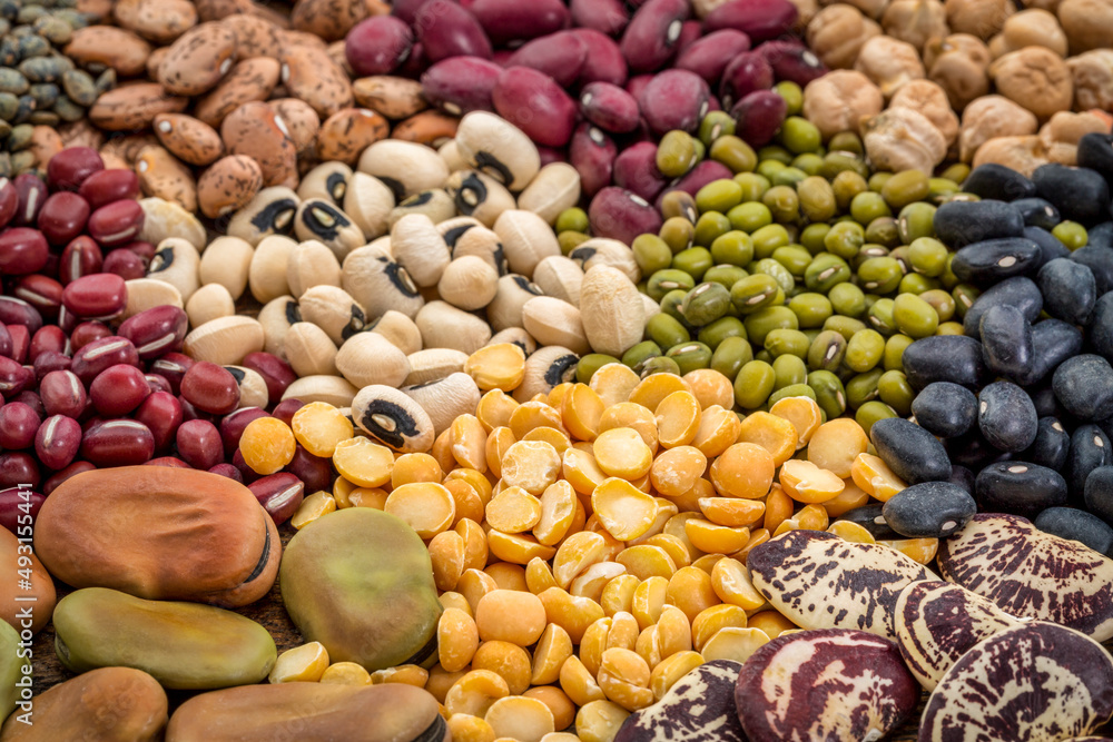 legume abstract - top view of a variety of colorful bean, lentil and pea legume abstract - top view of a variety of colorful bean, lentil and pea