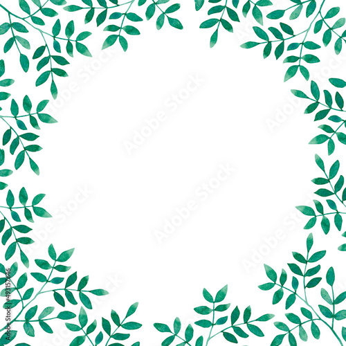 Frame of branches with small green leaves in a circle  Painted in watercolor  isolated on a white background.