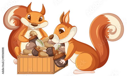 A squirrel eating nuts on white background