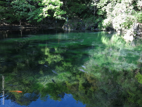                                                             Izuruhara Benten Pond