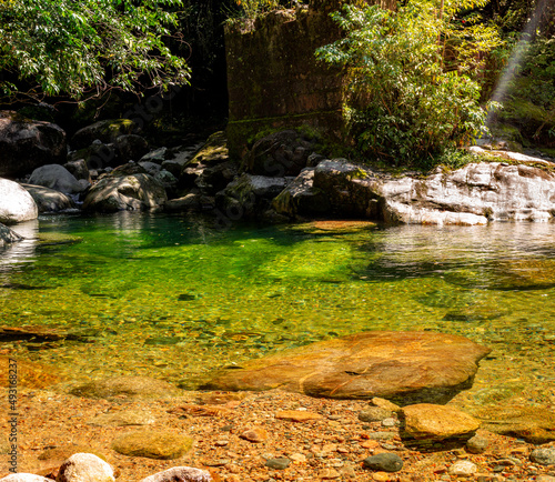 river in the forest