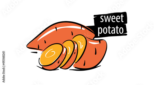 Drawn sweet potato isolated on a white background