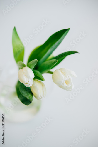 Fototapeta Naklejka Na Ścianę i Meble -  White Tulips bouquet in glass vase isolated on white background