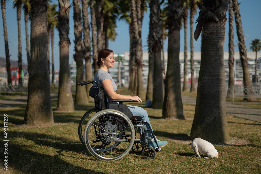 Caucasian woman in wheelchair with dog under palm trees. Caucasian woman in wheelchair with dog under palm trees.