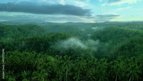 Rain Forest and Farm in Indonesia, Aerial Shot photo