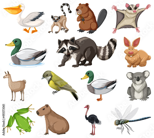 Different kinds of animals collection