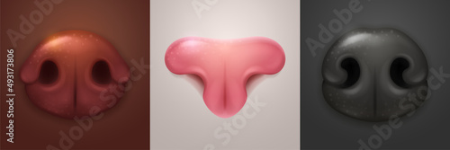 Dog and cat noses, vector animal snouts. Canine brown and black or feline pink muzzle close up front view. Realistic 3d vector design elements for pet shop or zoo market, isolated sensory organs