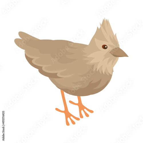 Crested Lark Bird Composition