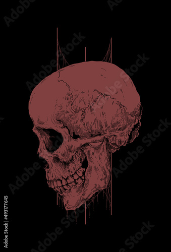 Dark art Skull Demon Head human with red color Art work Illustration