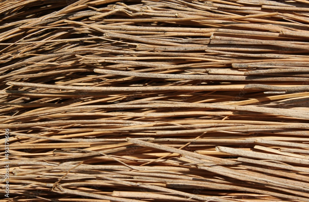 closeup of a bundle of straw
closeup of a bundle of straw