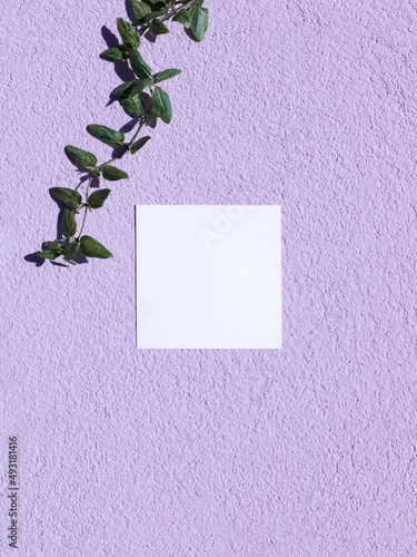 Facade of coarse fraction with grain texture painted in purple color with white frame. Minimal concept. Copy space.