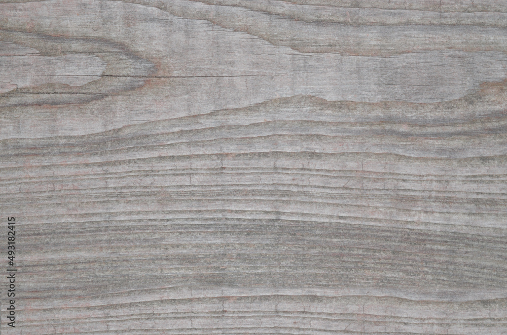 Naklejka premium Wood texture. Lining boards wall. Wooden background. pattern. Showing growth rings