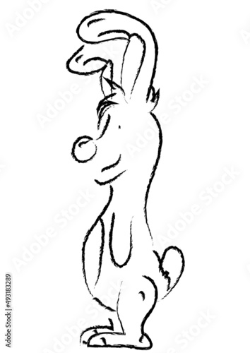 Hase